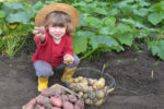 bimbo-con-patate