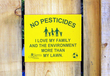 no-pesticidi
